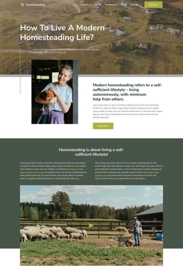 Custom Business Website Design